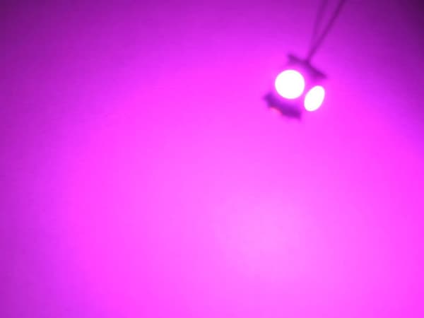 【03】T10 w5w Rosa / Rosa Led med 5st 5050SMD-chip 12v DC 10-pack