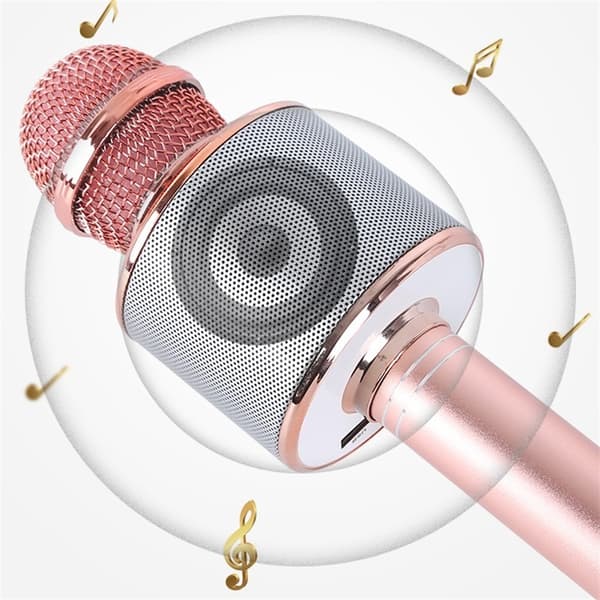 Karaoke mikrofon med højttaler og Bluetooth Rose