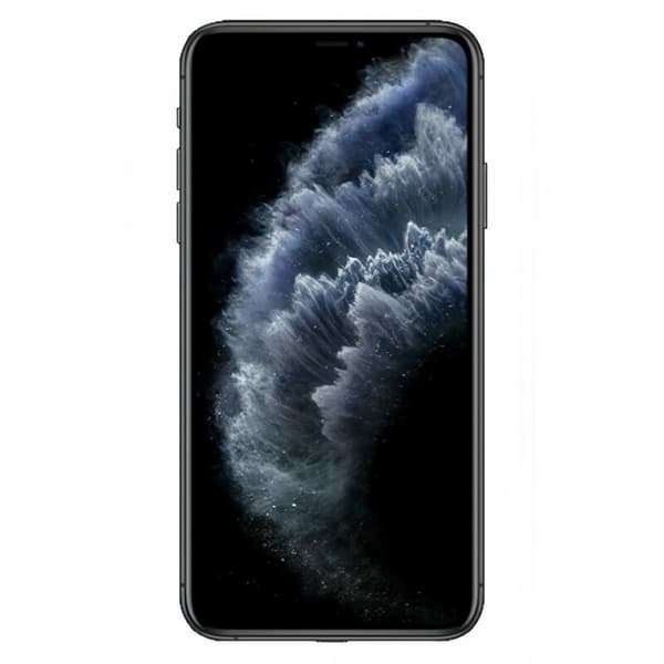 Renoverad Apple iPhone 11 Pro Max 64 GB rymdgrå - Olåst - Bra skick