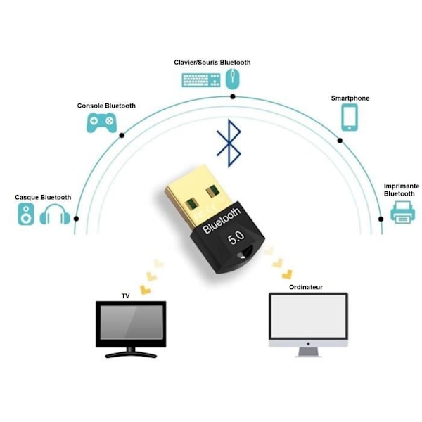 Bluetooth 5.0 Dongle USB för PC, Hörlurar, Mus, Tangentbord, Smartphone, Adapter Kompatibel med Windows 11-10-8.1-8-7 Phonillico®