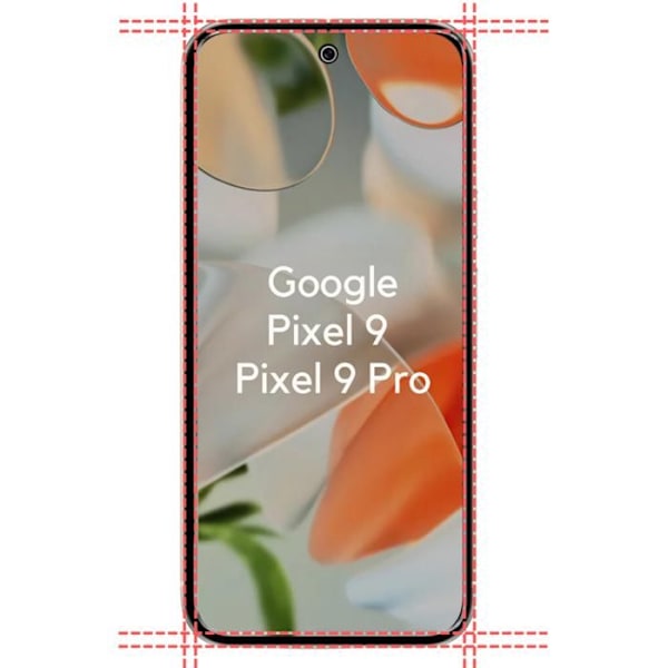 TPU-kuori Google Pixel 9:lle / Pixel 9 Pro:lle ja 2 kpl kovakalvoa näytönsuojaksi Phonillico® Transparent