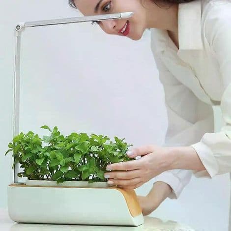 Smart, jordfrit hydroponisk dyrkningssystem. Justerbart. 5V DC. Til indendørs havearbejde. Plantegrowlights.