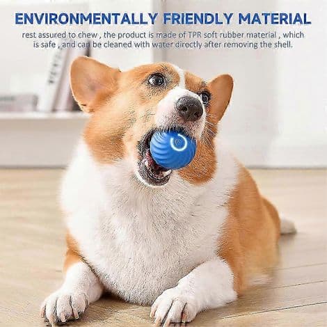 Automatisk hoppebold til hunde. Holdbart og langtidsholdbart legetøj. USB genopladeligt.