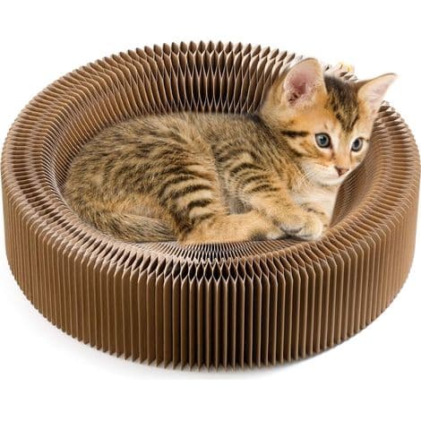 Katteklorestativkurv - Høydensitets bikakepapp - 50 cm diameter - Sammenleggbar og bærbar - For innendørs sofa - 1 stk
