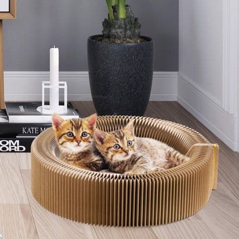 Katteklorestativkurv - Høydensitets bikakepapp - 50 cm diameter - Sammenleggbar og bærbar - For innendørs sofa - 1 stk