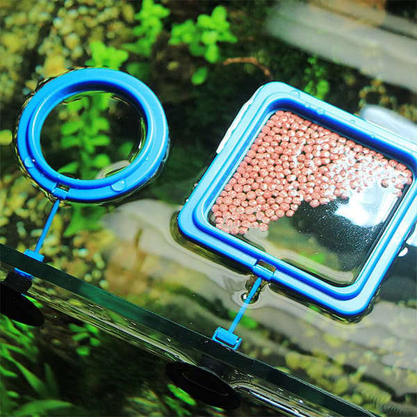Akvarium fodringsring fisketank station flydende trug føder en Black2