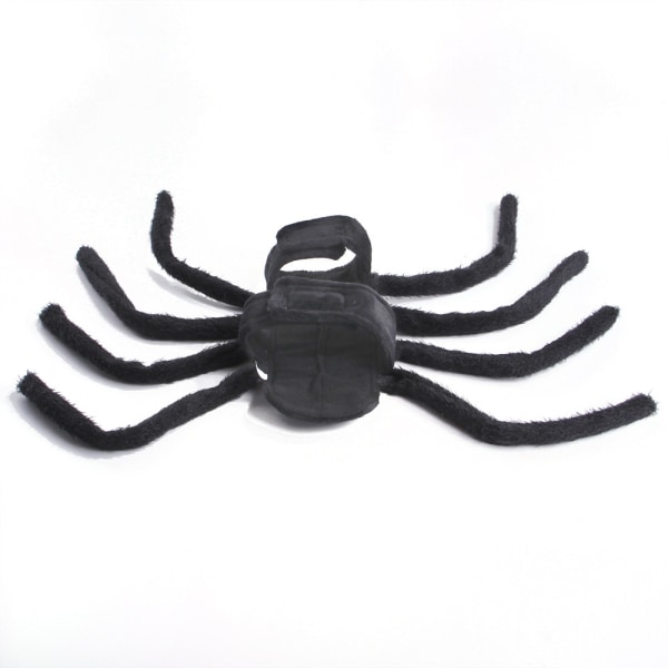 Halloween Mode Kattkläder Spindelkista Husdjur Cosplay black medium