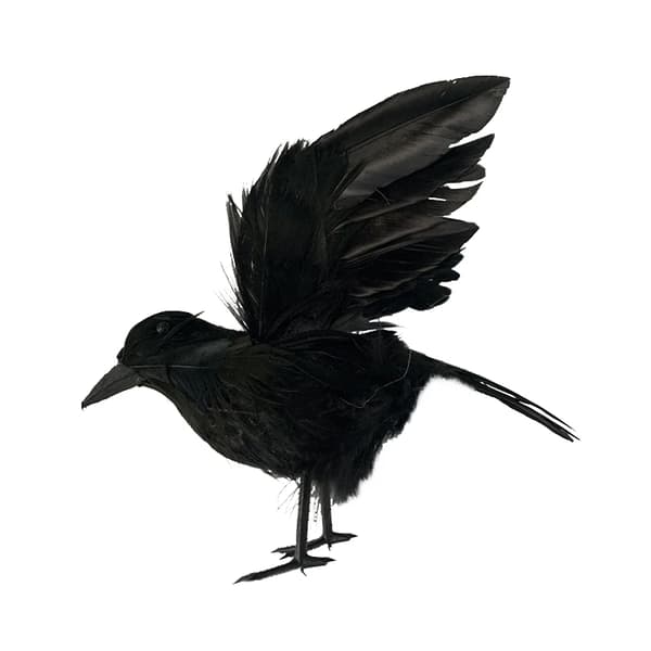 Halloween Simulering Kragemodel Kunstig Ravn rekvisit Party Deco 6Pcs