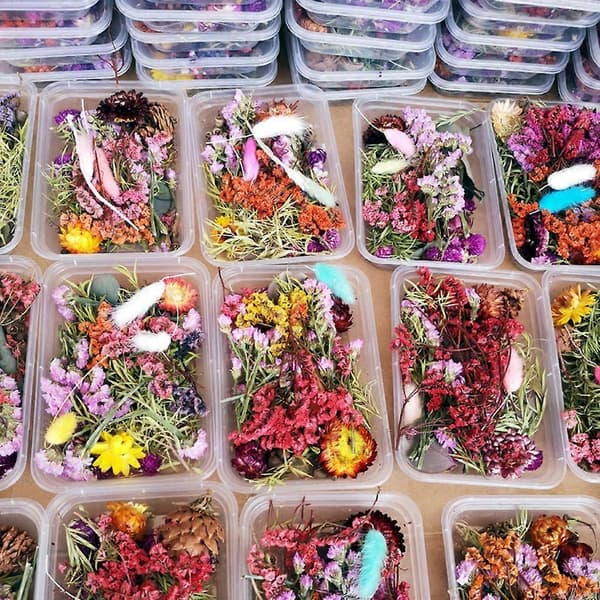 1 låda äkta blandade torkade blommor för harts smycken torra växter pressade blommor DIY
