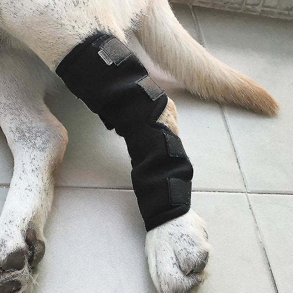 Hund Anti-slikkende benbeskyttelse Teddy Ben Hase erme Kompresjonsstøtte Cover M