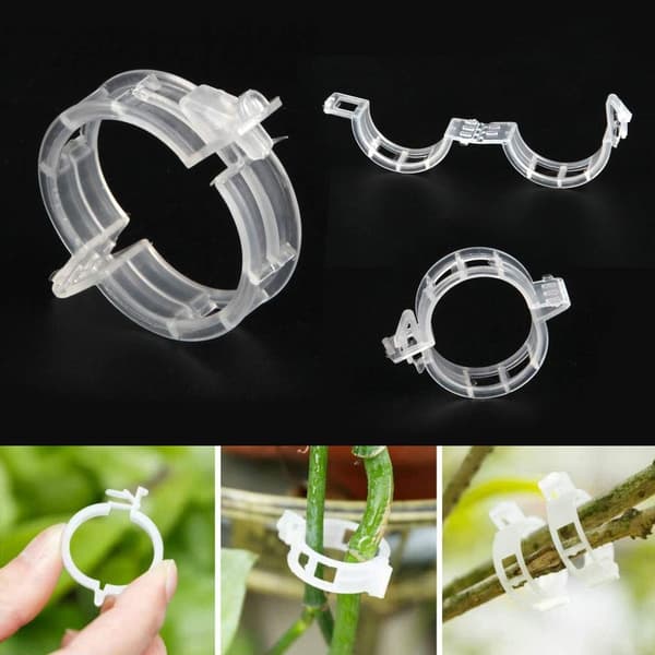 Växtklämmor för plantstöd/spaljé 100-pack Transparent