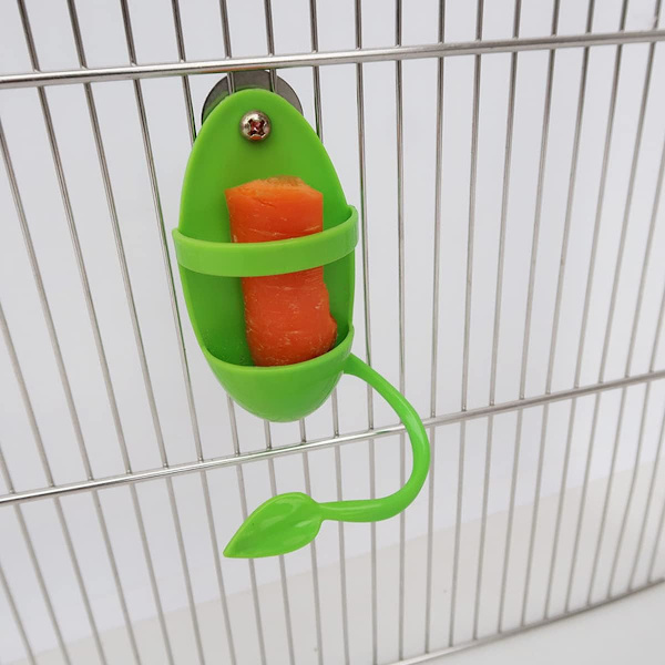 Fågelmatningshållare i plast för cuttlebone on Cage Parrot Cage St
