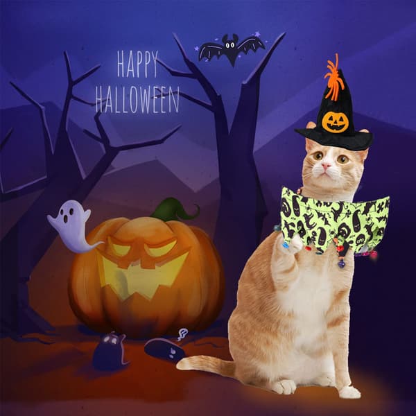 Katt Halloween Kostym - Halloween katthalsband med klockor och style3