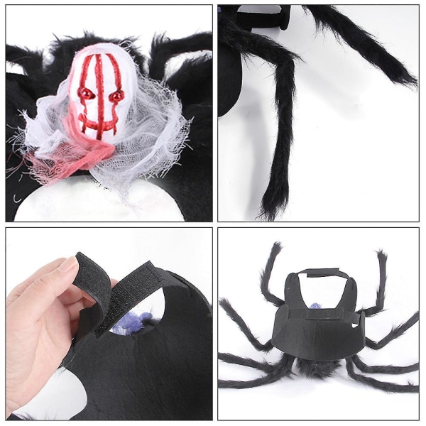 Halloween xmas julklappar dekoration husdjur spindel bröst rygg kreativa kläder nya B35106 green M