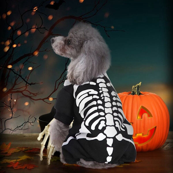 Hund Katt Skelett Halloween Party Cosplay Tröja Jumpsuit Valp XL