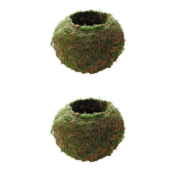 2 kpl Sammalpallo Kukkaruukku Istutuskone Bonsai Puutarhakoriste