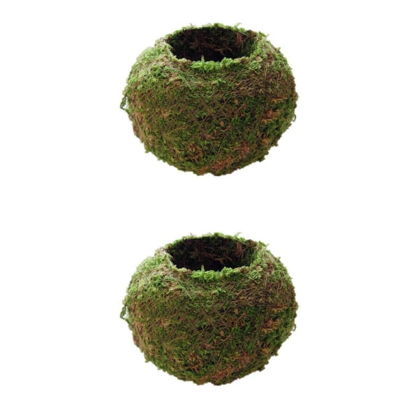 2st Ball Moss Blomkrukor Planteringsmaskin Bonsai Trädgårdsdekor