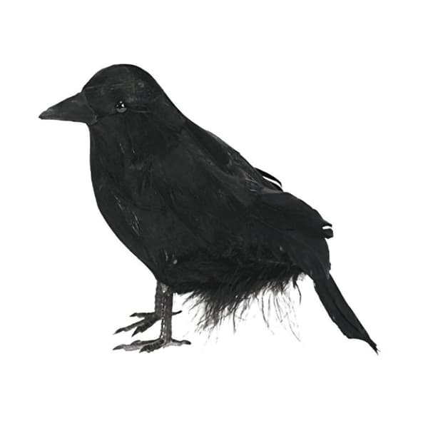 Halloween Simulering Kragemodel Kunstig Ravn rekvisit Party Deco 6Pcs