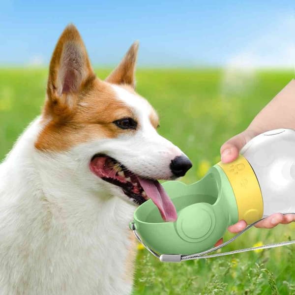 Hund Vattenflaska Hundar Skål VIT white