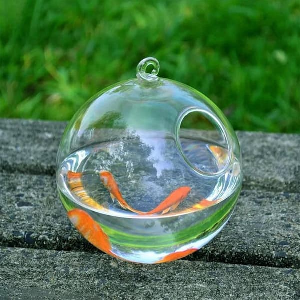 Riippuva lasinen akvaario Fish Tank WHITE 02 02