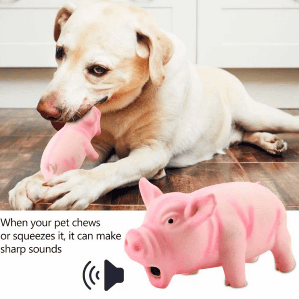 Gris kjæledyr Pet Chew Toy Slitesterk Søt gris