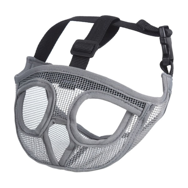 Kort Snute Hund Munkorg Bulldog Munkorg, Stopp