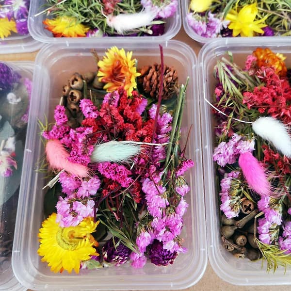 1 låda äkta blandade torkade blommor för harts smycken torra växter pressade blommor DIY
