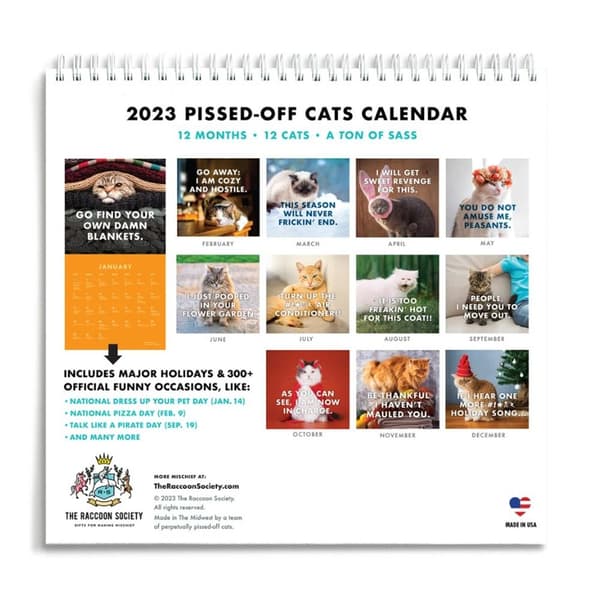 Sjov Kat Kalender 2023 Kalenderkunst Månedskalender