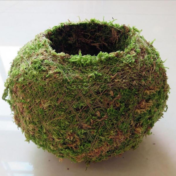 2 stk. Mos Kugle Blomsterpotter Plantekasse Bonsai Havedekoration