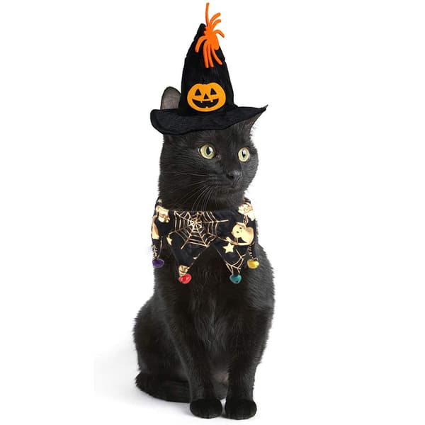 Pet hatt kostym Pet Halloween kostym Cat cape hatt