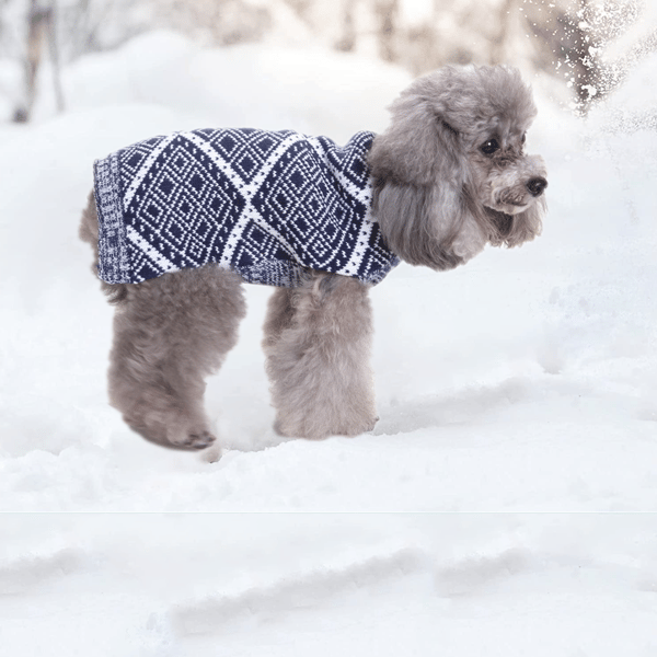 Julefestlig hundetrøje til hvalpe små hunde, M