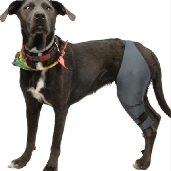 Knästöd för hund, cap , artrit - Håller leden varm - Extra stöd - Minskar smärta  eft L Left