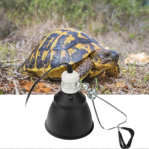 Klemme til krybdyrlampe, lampeholder til varmelampe