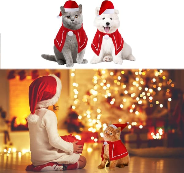 #Julegave til kæledyr, Julekappe med rød julehat til kat#