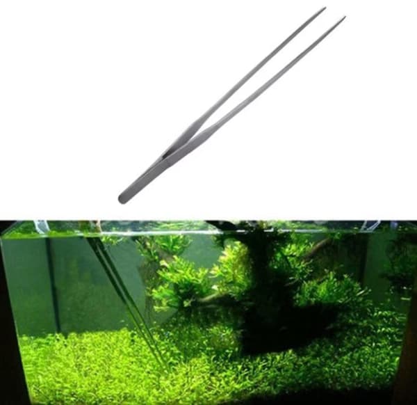 Rostfritt stål akvarium pincett tank, 27 cm