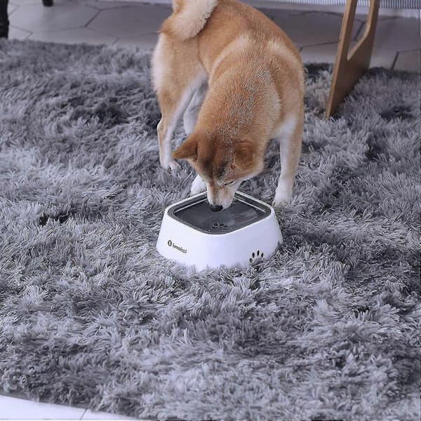 Hundevandskål, Hundebol No-spill Dyrevandskål 35oz, Langsom Vandmater