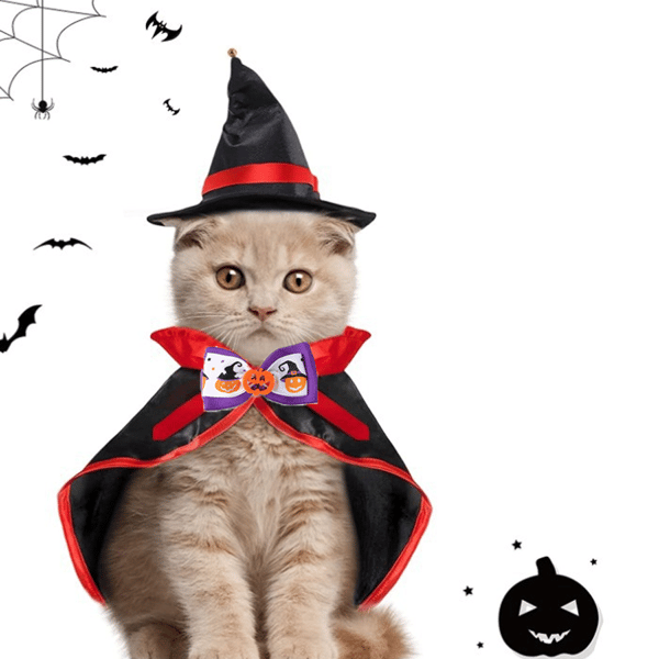 Halloween husdjurskostym för små hundkläder Kläder för style 5