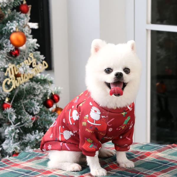 Husdjur Jul Semester Hund Katt Husdjur Jul Kläder Kostym M