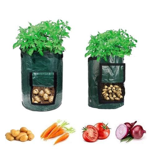 Kasvusäkki multakasveille DarkGreen 1-pack M