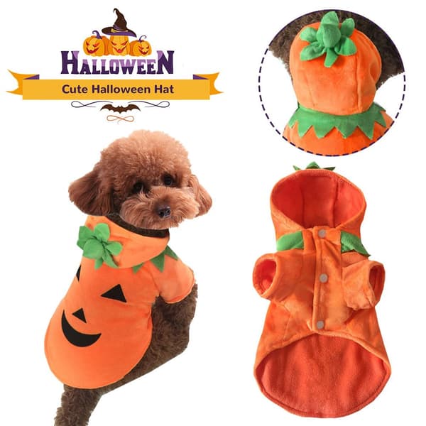Djurkläder pumpa Halloween kläder hundkläder nya orange XL