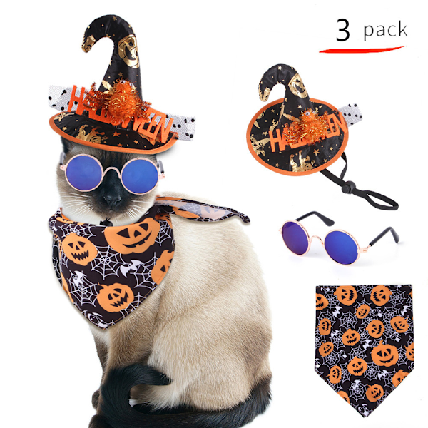 Kattedrakter Outfit Cat Bat Wings Wizard Witch Hat Cape style 2