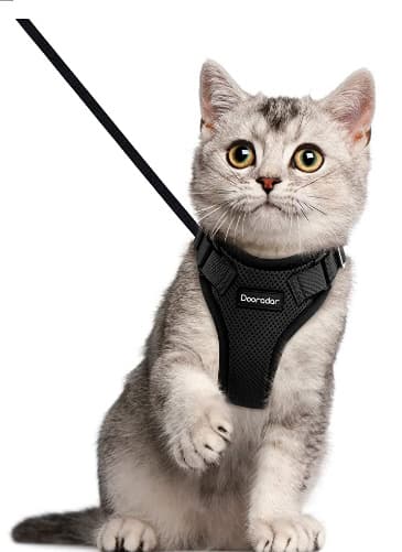 *Aktivt sjeldent perlekatt servise med bånd byste 26*57cm*