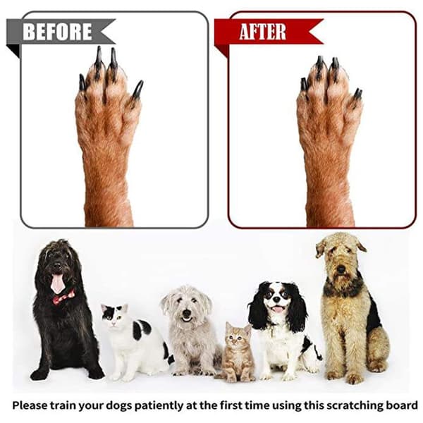 Dog Scratch Pad för naglar, Dubbelsidig Scratch Board för Dog Su BLACKB drawer claw