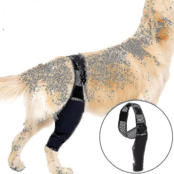 Hundknästöd för ACL, cap , artrit - Håller leden varma - Extra stöd - inskar smärta och uppblåsning M