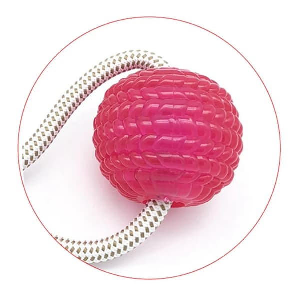 Interaktiva hundleksaker Husdjursvalp Sugkopp Push TPR Bollleksaker Molar Bite Toy Elastiska rep Hundtandrengöring Tuggtillbehör purple