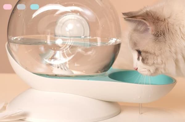 Katt og hund vannfontene transparent 2,8L 1 stk blå