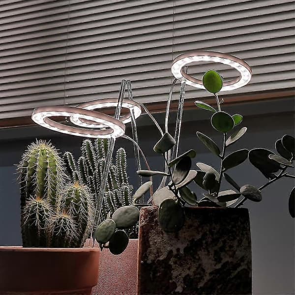LED-vækstlys Fuld Spektrum Phyto Vækstlampe USB Angel Ring Lampe til sukkulenter, blomsterplanter