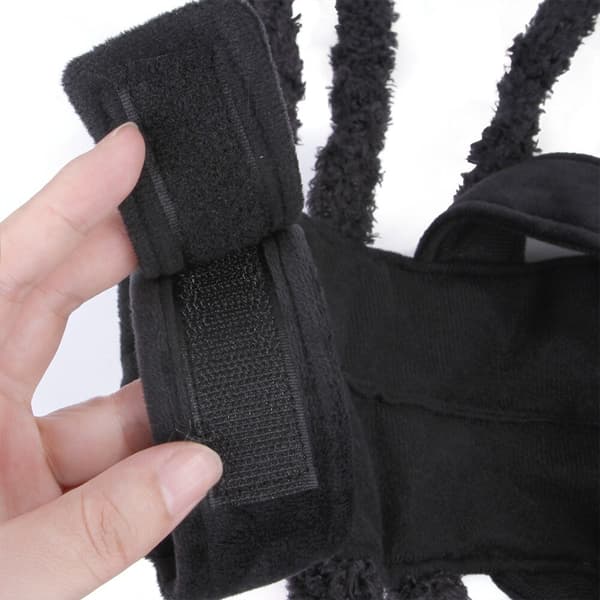 Halloween Mode Kattkläder Spindelkista Husdjur Cosplay black medium
