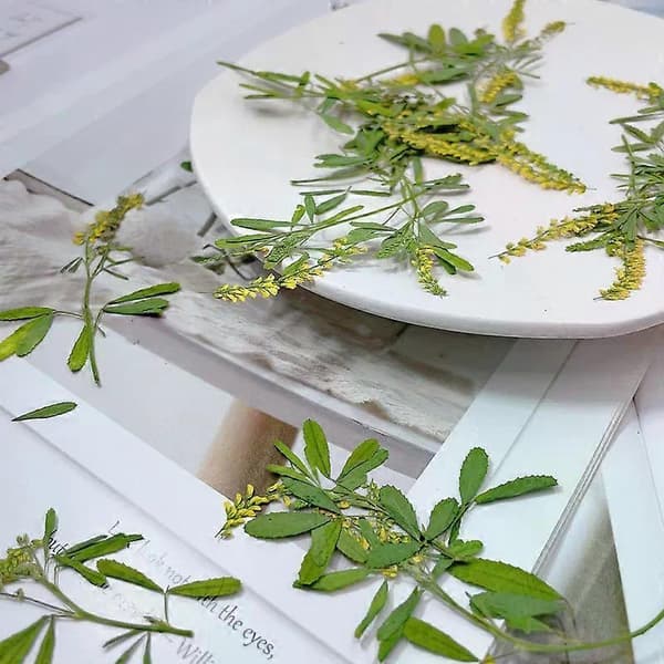 2 stk. pressede blomster til vokssegl bryllupsinvitationer, ægte naturlige tørrede blomster til håndværk, lykønskningskort, gaveæske, babyshower, bryllupsdekoration