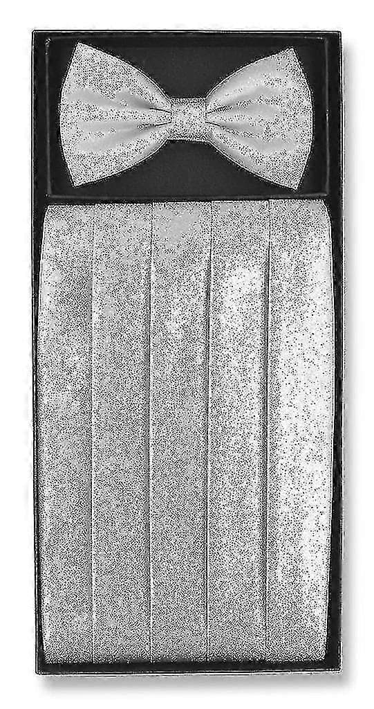 Cummerbund & Fluga Metallisk Design Herr Cummerbund Flugset TY